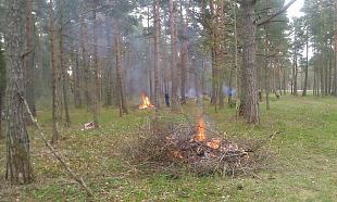 Harju naised tegid ennast lkkelhnaseks