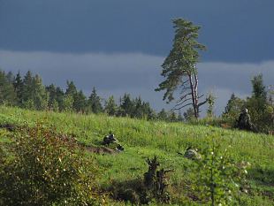 "Jnes, Jnes Karule" ehk Phjakonn 2012