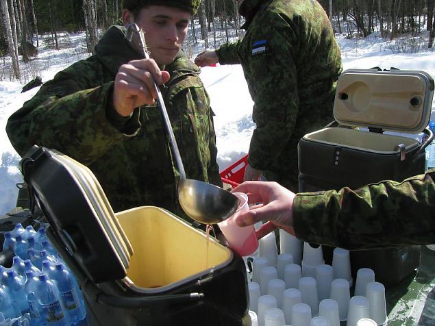 Vitle, Tartu, vitle! (Scoutsrnnak 2013)