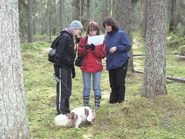 Srav sgis leitud – juba viiendat aastat