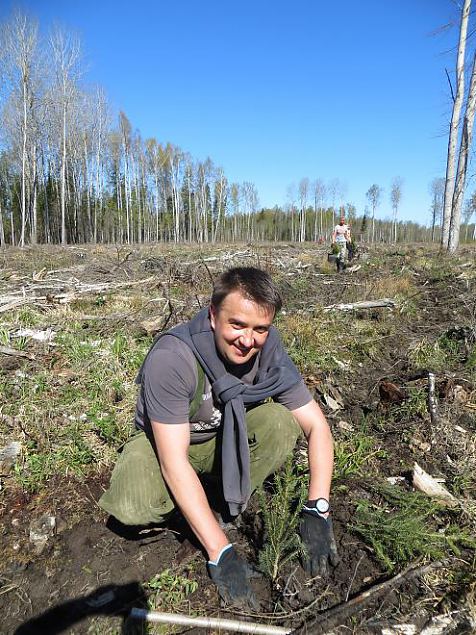 Heategevuslik metsaistutus