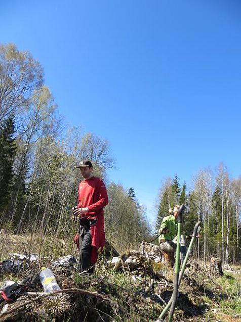 Heategevuslik metsaistutus