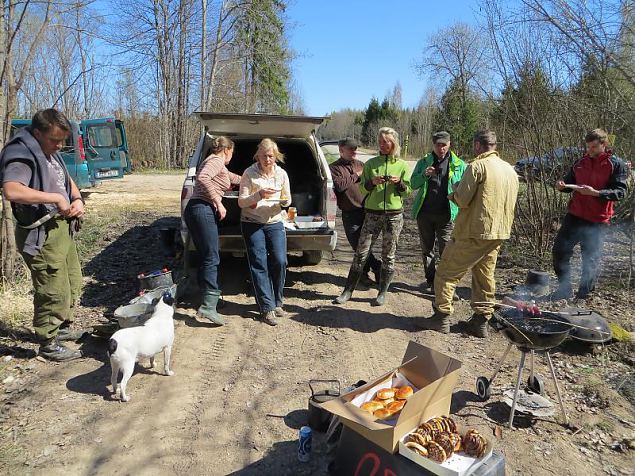 Heategevuslik metsaistutus