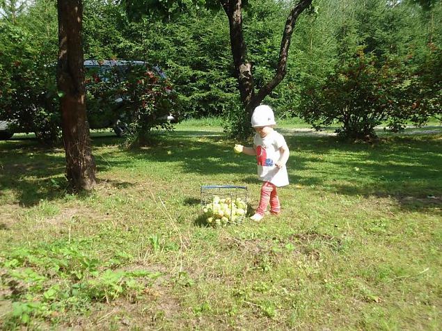 Naiskodukaitse fotokonkursile ''Heategu lbi minu silmade'' esitatud td