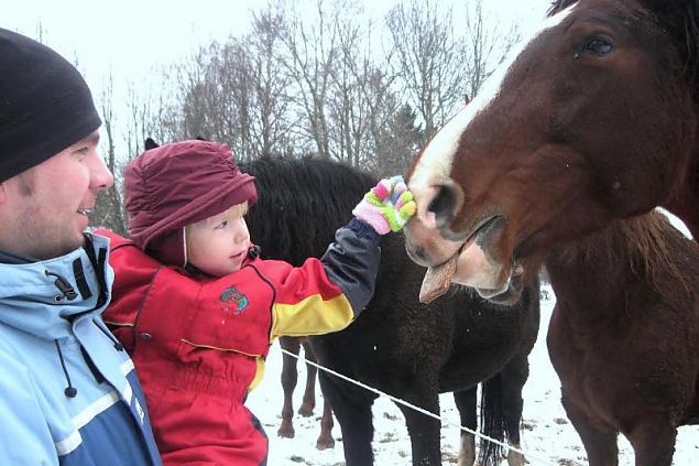 Naiskodukaitse fotokonkursile ''Heategu lbi minu silmade'' esitatud td