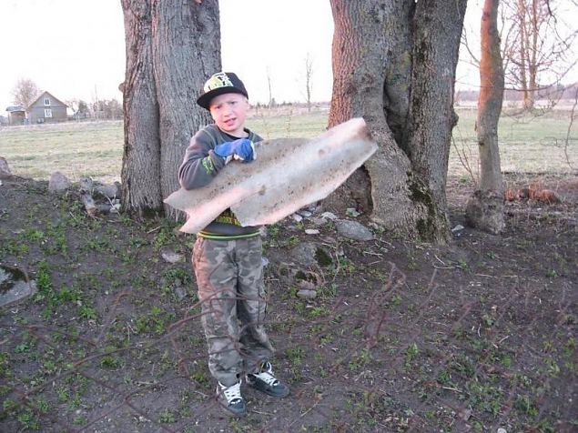 Naiskodukaitse fotokonkursile ''Heategu lbi minu silmade'' esitatud td