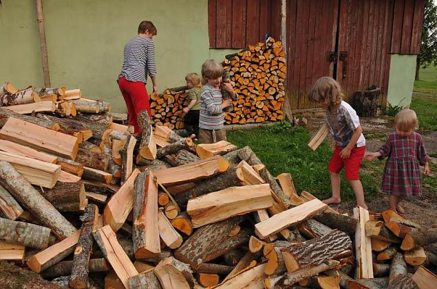 Naiskodukaitse fotokonkursile ''Heategu lbi minu silmade'' esitatud td