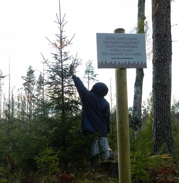 Naiskodukaitse fotokonkursile ''Heategu lbi minu silmade'' esitatud td