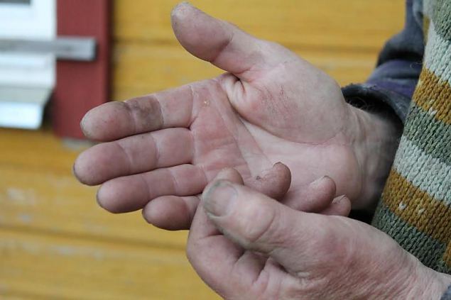 Naiskodukaitse fotokonkursile ''Heategu lbi minu silmade'' esitatud td