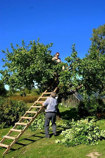 Naiskodukaitse fotokonkursile ''Heategu lbi minu silmade'' esitatud td