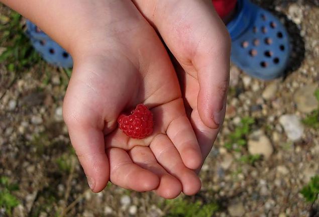 Naiskodukaitse fotokonkursile ''Heategu lbi minu silmade'' esitatud td