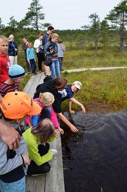 Naiskodukaitse fotokonkursile ''Heategu lbi minu silmade'' esitatud td