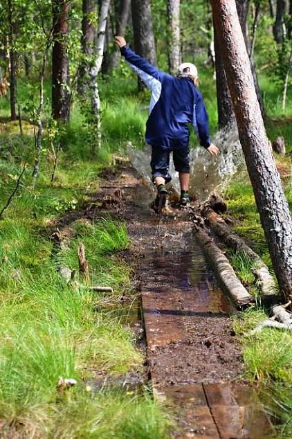 Naiskodukaitse fotokonkursile ''Heategu lbi minu silmade'' esitatud td