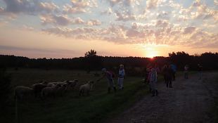 Koduttrest naiskodukaitsjaks ehk talgud Vilsandil