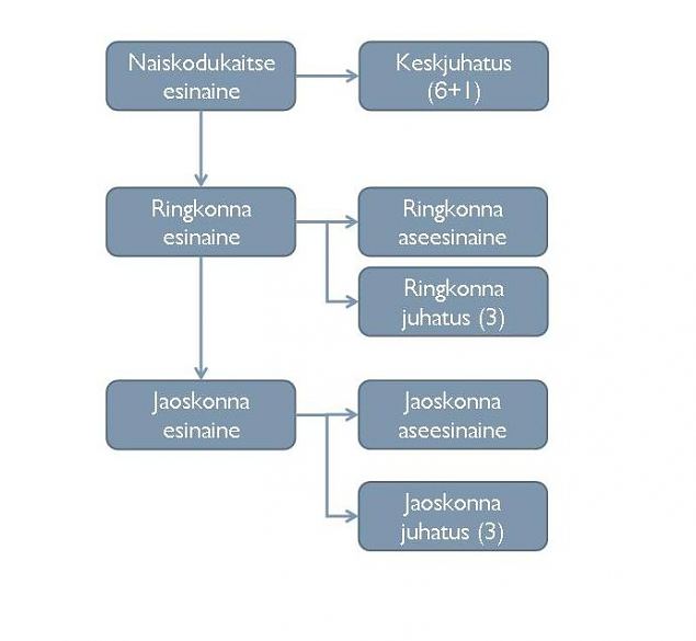 Struktuur ja juhtimine