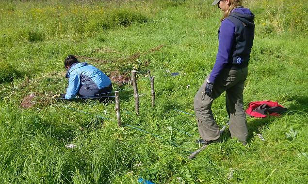 Rebasega silmitsi: seiklused leelamislaagris