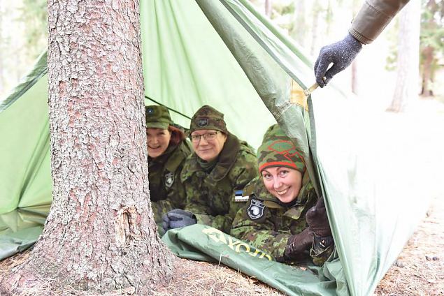 'Kige olulisem on kbi' ehk Tnu Jrgensoniga metsas 