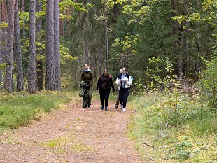 Akadeemiline jaoskond