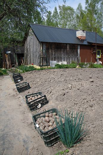 Naiskodukaitse fotokonkursi ''Aeg olla eestlane'' vidufotod