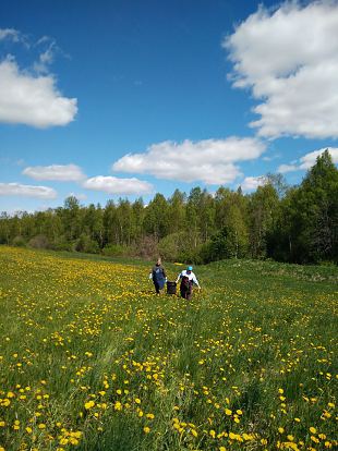 Inglid kesapllul ehk kuidas ma judsin Ernakese kgitoimkonda