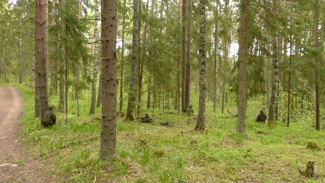 ks meeldivalt metsapoole ndalavahetus ehk Laagrirutiinid 2017