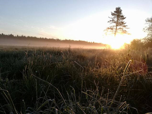 Killuvestid, llatus separatistide laagris, agressiivsed vangivalvurid, sillaehitustiim ning alajahtumise kontrollpunkt ehk maailma parim naiskond Jrvamaad vallutamas