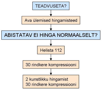 5. samm