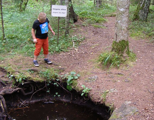 Naiskodukaitse Saaremaa ringkonna ajalooretk Lne-Saaremaale