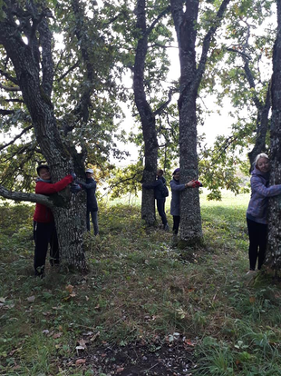 Vigalal pole viga - vimas ajalugu ja vilgas elu hoopiski