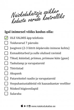 Laupeval toimub „Ole valmis!“ ohutushoiu virtuaalne laagripev