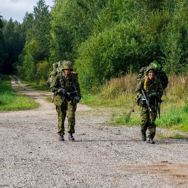 Vaatlejana vsas ehk SIBUL naistel pisaraid voolama ei pannud