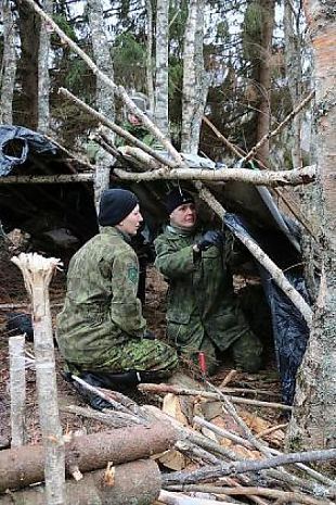 TALLINNA RINGKONNA JAOSKONNAD