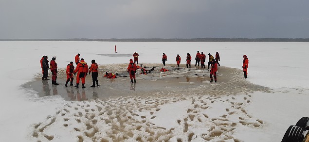 Psta ennast ise: rulli, kpuli, psti!