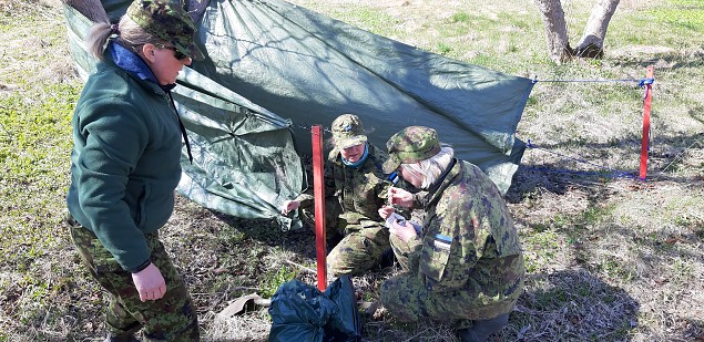 7 vaprat lahingus ehk vlikgis kokkamine