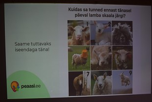 Evakuatsioonirhma ppepev lbi vrske pilgu