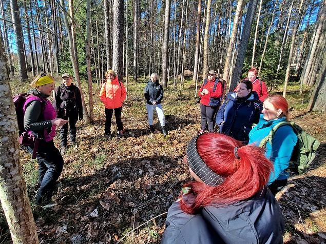 Kui meeled vajavad tehnolevaatust