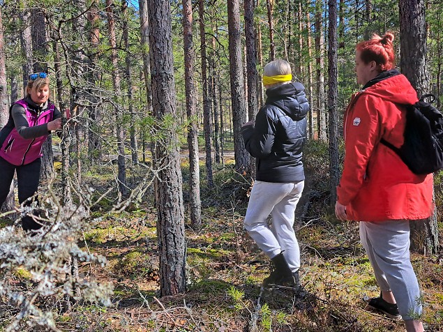 Kui meeled vajavad tehnolevaatust