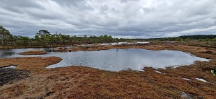 Haapsalu jaoskond lks rappa