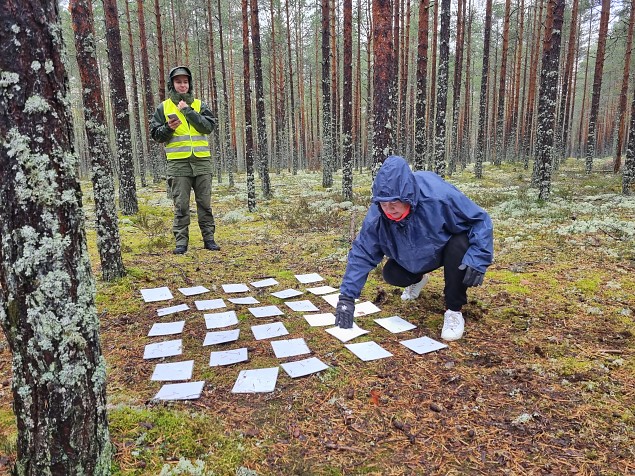 Harju vistlusmatk “Tule sgist otsima!" 2023