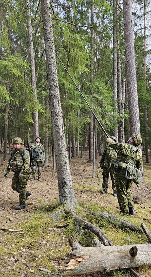 Aprill Vrumaa ringkonnas