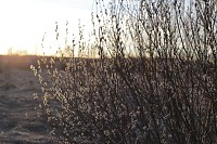 S�ndmused Naiskodukaitse ringkondades �le Eesti