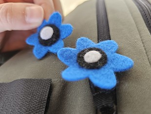 Rampe sinilillematk - 100 aastat m�lestusi