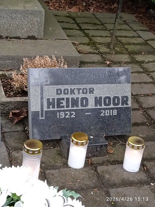 Mees naiskodukaitses