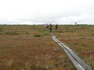 Imeilus matkapev Naiskodukaitsega