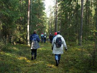 Tallinlannad kisid harjukate kutsel Vsul sgist otsimas